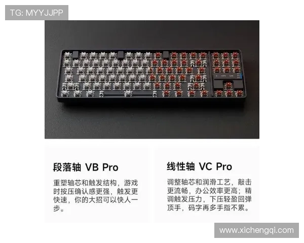 问鼎娱乐网页版登录常用设备支持情况分析与优化建议