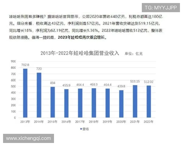 问鼎中文站：探索中文站点的崛起与发展之路