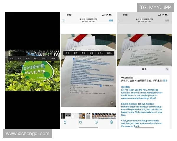 问鼎在线网页版登录支持多设备同步登录体验提升与操作建议