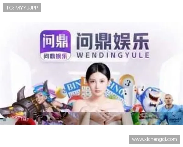 问鼎网页版在线登录入口：问鼎网页版登录入口的安全性分析与用户隐私保护措施